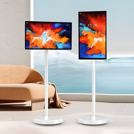Portable Monitor 24"