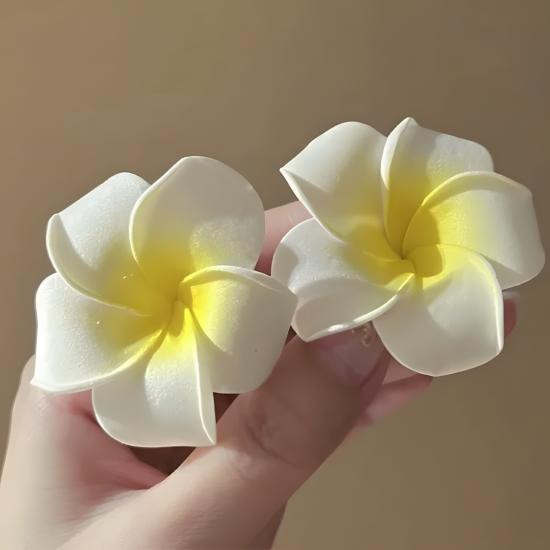 Hair Accessory 2 Pcs