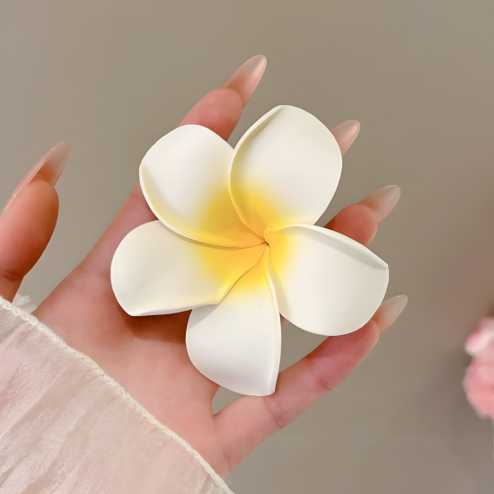 Hair Accessory 2 Pcs