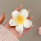 Hair Accessory 2 Pcs
