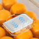 Plastic Food Container With Strainer