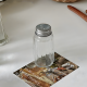Glass Salt Shaker