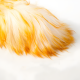 Duster