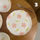 Porcelain Plate