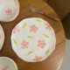 Porcelain Plate