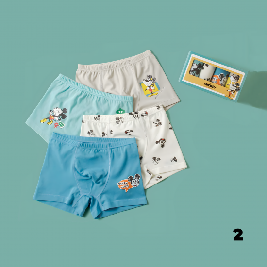 Children's Boy Underwear 4 Pcs