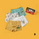 Children's Boy Underwear 4 Pcs
