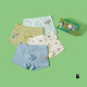 Children's Boy Underwear 4 Pcs