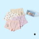 Children's Girl Underwear 4 Pcs