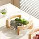 Glass Bowl & Wooden Base