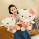Hello Kitty Plushie