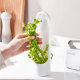 Plastic Herb Saver