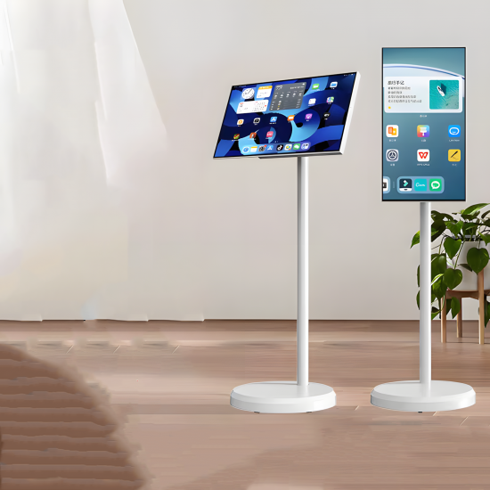 Portable Monitor 24"