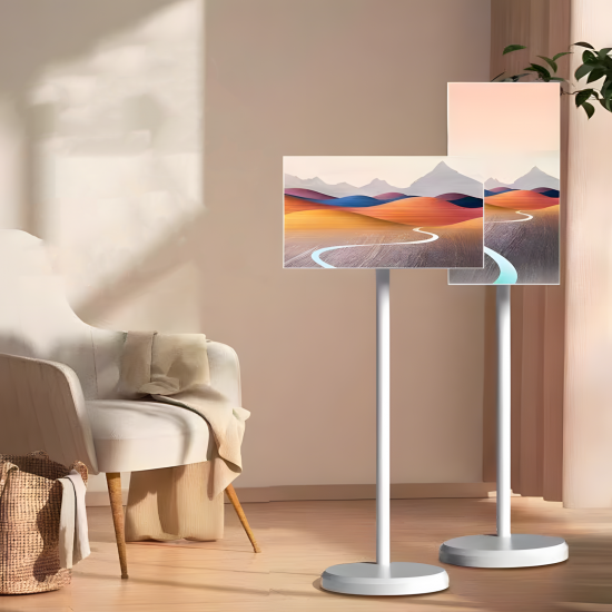 Portable Monitor 24"
