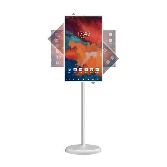 Portable Monitor 24"