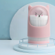 Cotton Swabs 100 Pcs