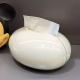 Plastic Tissue Box