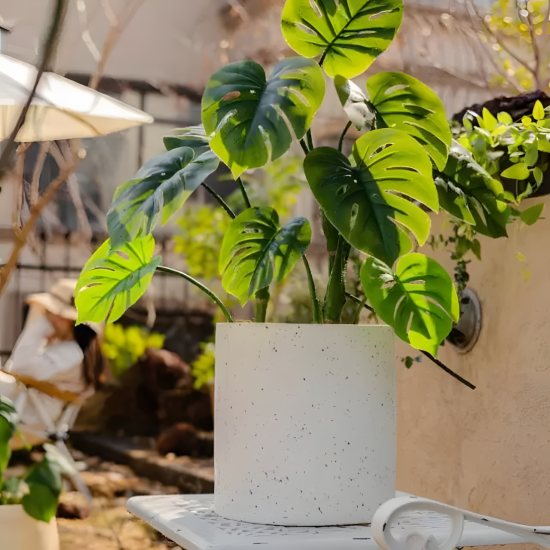 Plastic Plant Pot