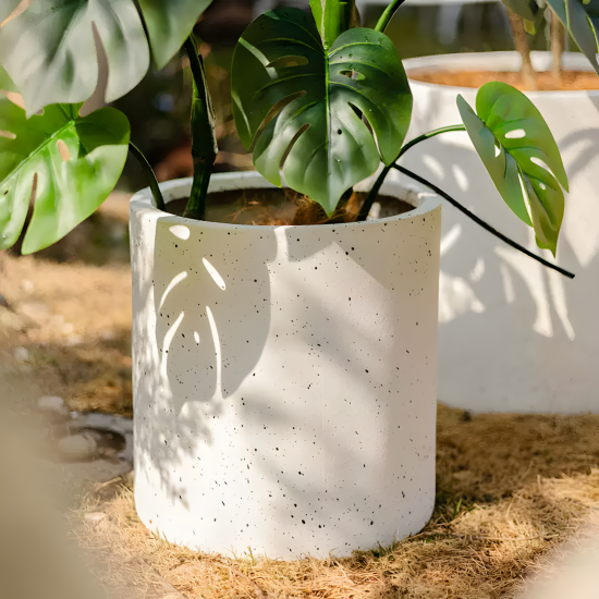 Plastic Plant Pot
