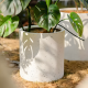 Plastic Plant Pot