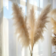 Dried Flowers