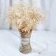 Dried Flowers