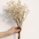 Dried Flowers