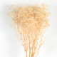 Dried Flowers