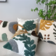 Cushion