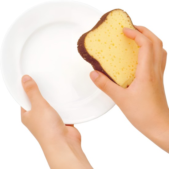 Toast Sponges 5 Pcs