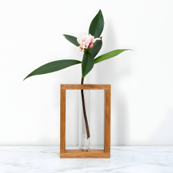 Glass Planter With Wooden Base