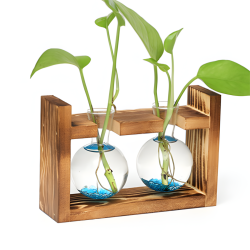 Glass Planter With Wooden Base