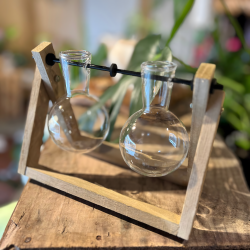 Glass Planter With Wooden Base