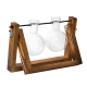 Glass Planter With Wooden Base