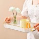 Acrylic Tray