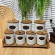 Porcelain Spices Jar Set 8 Pieces