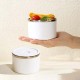 Stainless Steel Food Container Large
