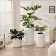 Plastic Plant Pot