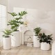 Plastic Plant Pot