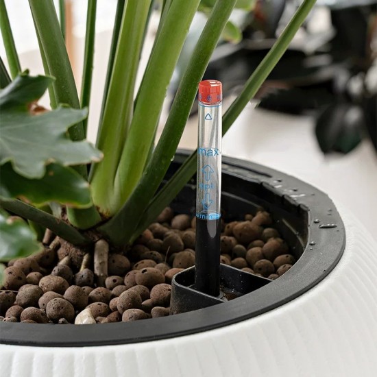 Plastic Plant Pot