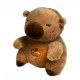 Plush