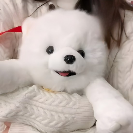 Plush