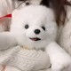 Plush