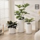 Plastic Plants Pot