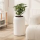 Plastic Plants Pot