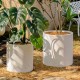 Plastic Plants Pot