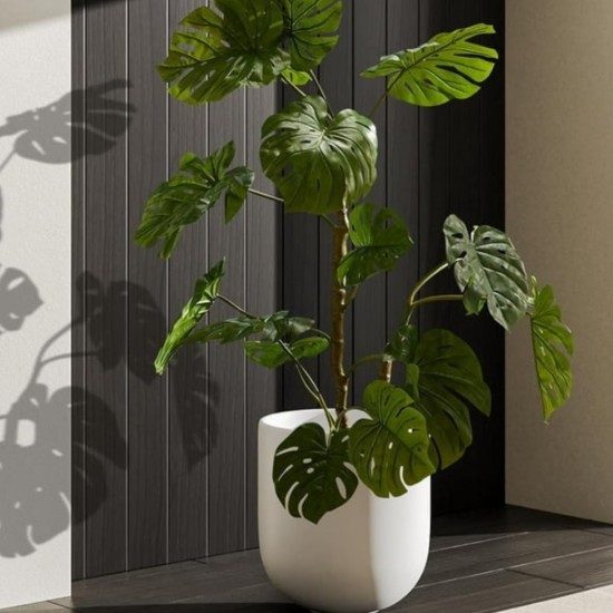 Plastic Plants Pot Medium