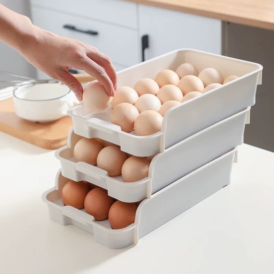 Plastic Egg Organizer