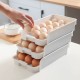 Plastic Egg Organizer