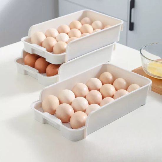 Plastic Egg Organizer